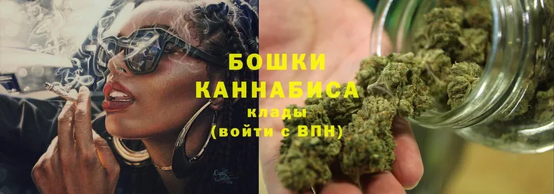 Конопля OG Kush  Сорск 